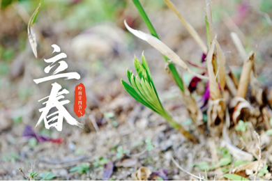 立春