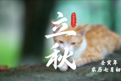 立秋