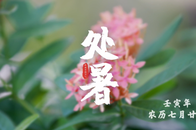 处暑