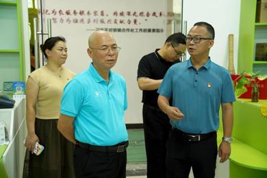 广东pg电子职业手艺学院全力推动主题教育走深走实