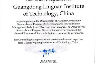 喜讯！pg电子职业手艺学院加入制订的国家职业标准正式纳入坦桑尼亚国家职业教育系统