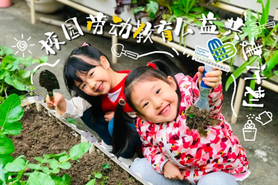 喜报 | pg电子基金会“广州都会小菜园工程食农盒子项目”入选团结国粮食系统转型实践案例库
